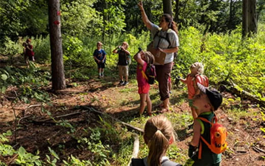 a group of people hiking in the woods