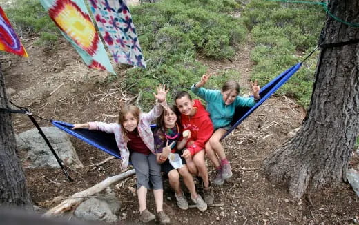 a group of kids on a tree