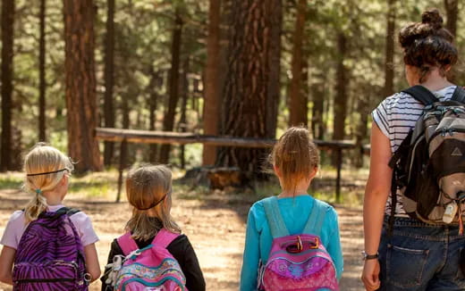 a group of people walking in a forest