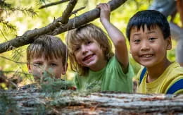 a group of children in a tree