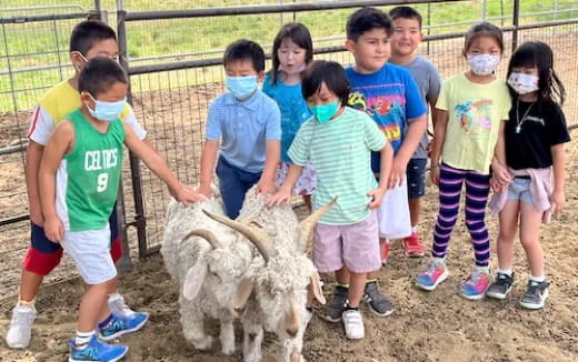 a group of children standing around a goat