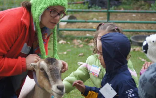 a group of people petting a goat