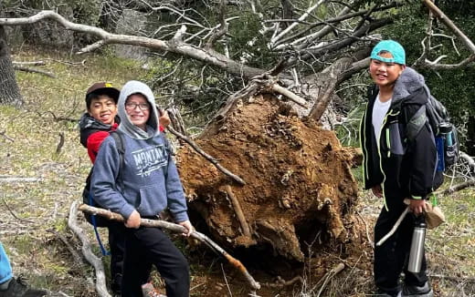 a group of people standing next to a tree stump