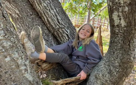 a girl sitting in a tree