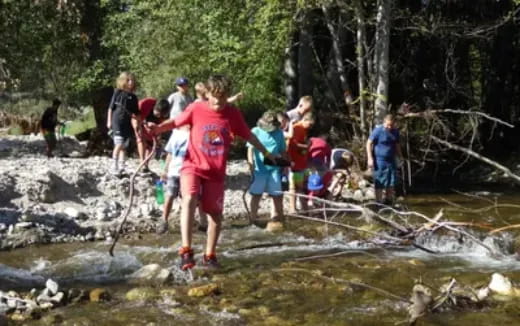 a group of people walking in a stream