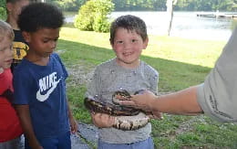 a group of children playing with a turtle
