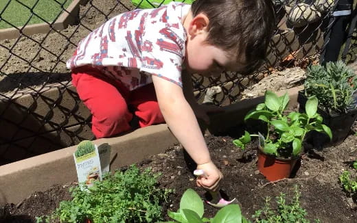 a child planting plants in a garden