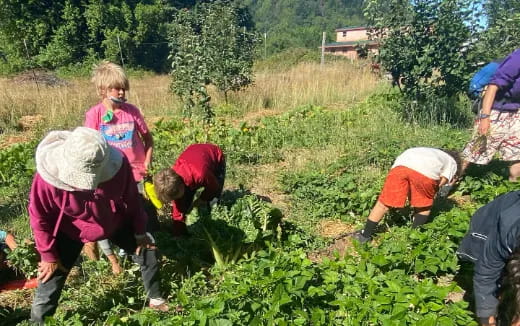 a group of people working in a field