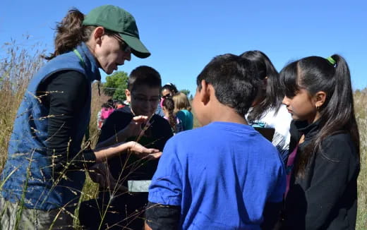 a group of people looking at a plant