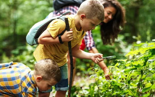 a group of people looking at plants