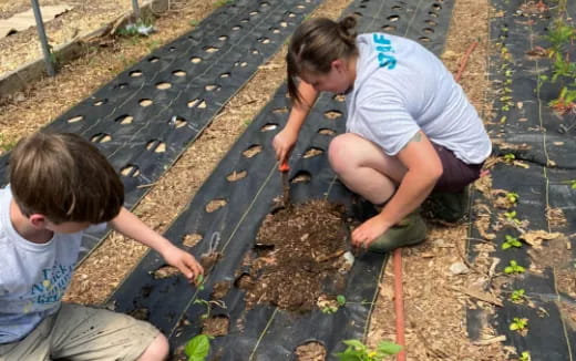 a couple of people planting seeds