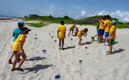 a group of people playing volleyball on a beach