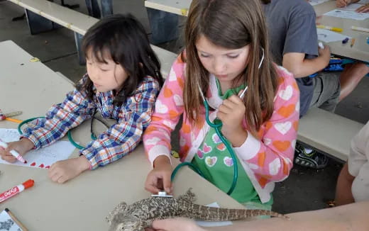 a few young girls working on a project