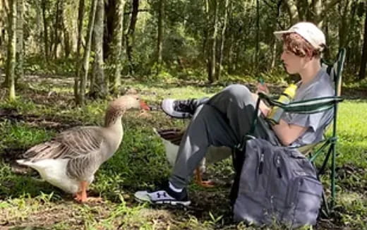 a person sitting in a chair next to a duck