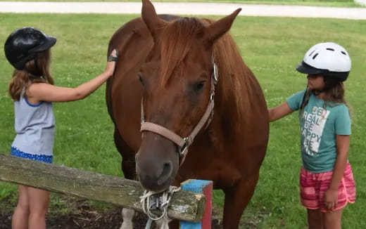 a couple of girls stand near a horse