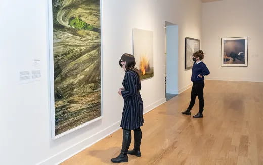 a person looking at a painting