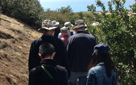 a group of people looking at a tree