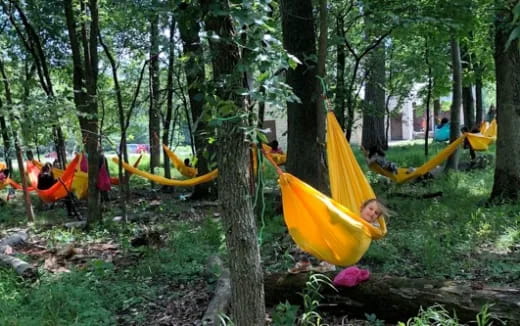 a group of people in a hammock in a forest
