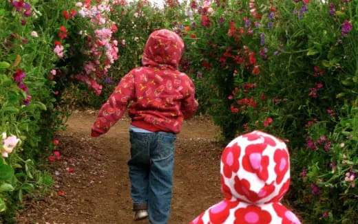 a child walking in a garden