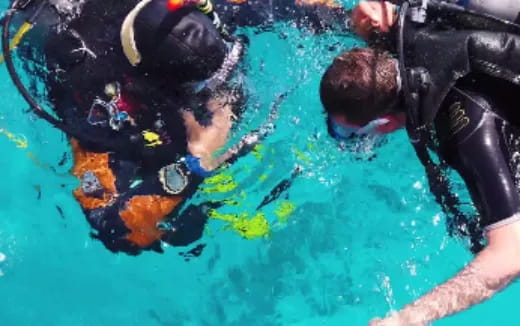 a couple of people in scuba gear in the water