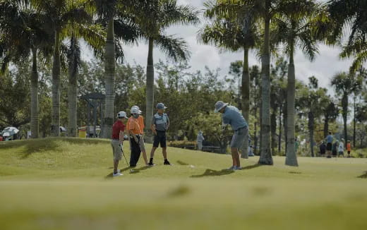 a group of people playing golf