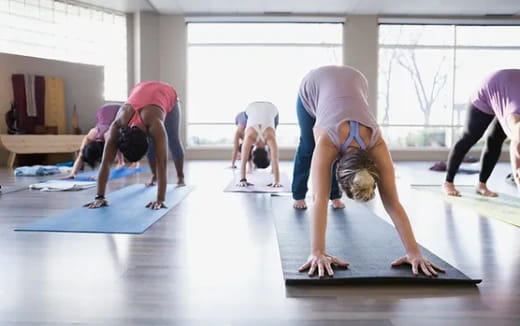 a group of people doing yoga