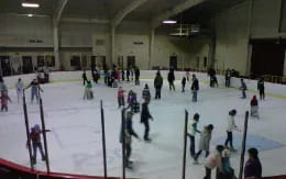 a group of people ice skating