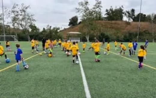 a group of people playing football