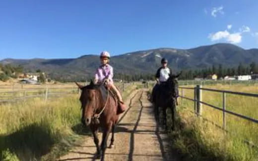a couple of people riding horses on a dirt road