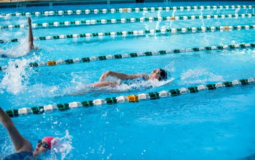 a group of people swimming in a pool