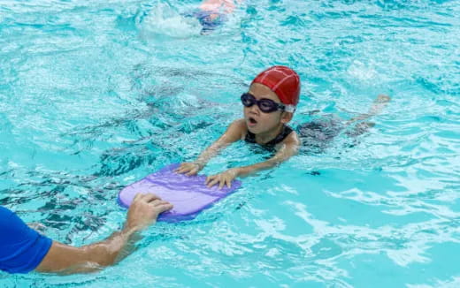 a man in a pool with a dolphin