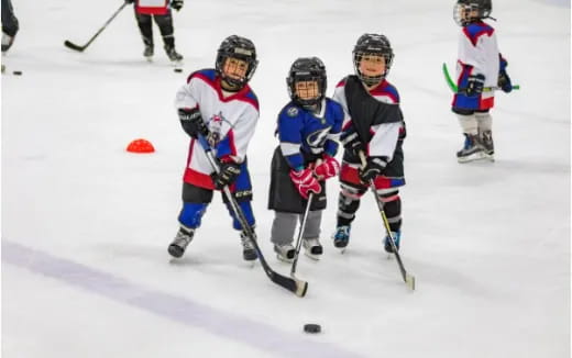 a group of kids playing hockey