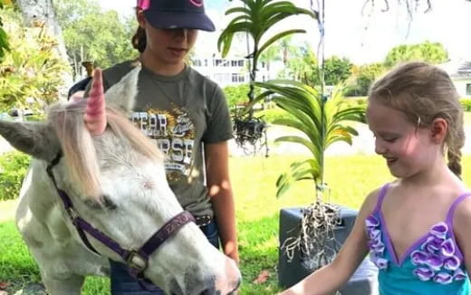 a boy and girl petting a donkey