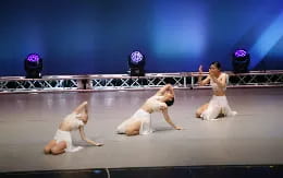 a group of dogs on a stage