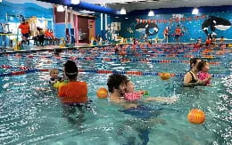 a group of people in a pool