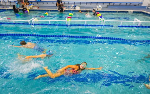 a group of people swimming in a pool