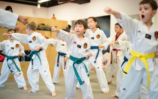 a group of children in karate uniforms