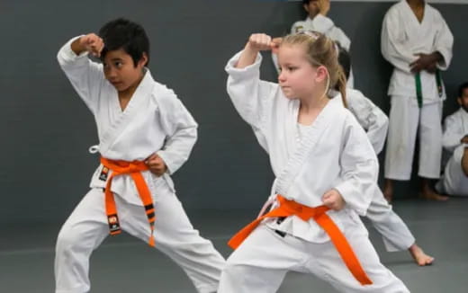 a group of people in karate uniforms