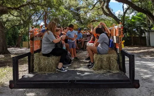 a group of people sitting on a bench