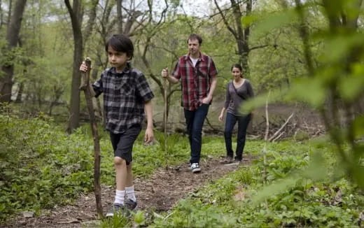 a group of people walking in the woods