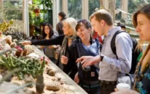 a group of people looking at a plant