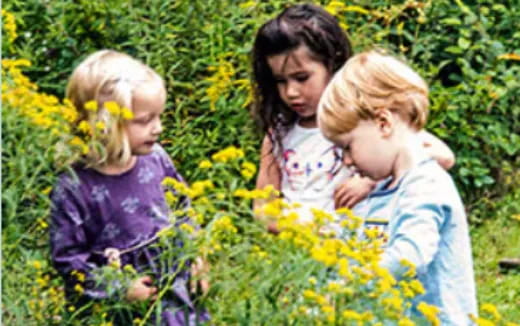 a person and two children in a field of flowers