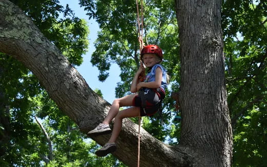 a young boy climbing a tree