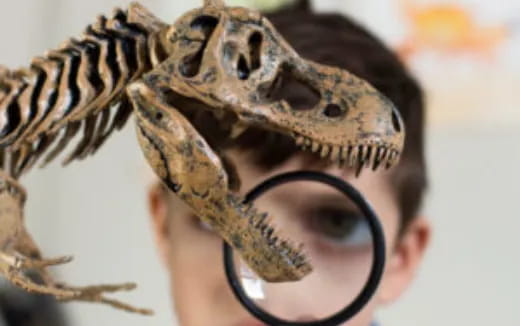 a person holding a lizard