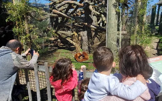 a group of people looking at a tree that has fallen