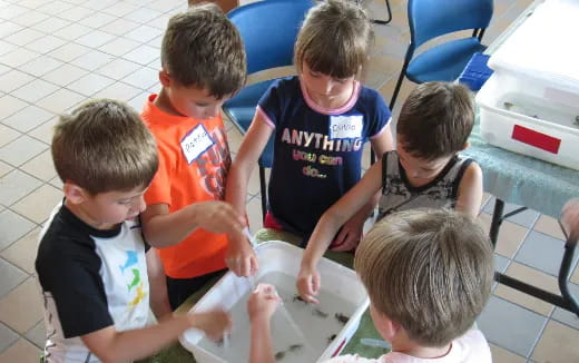 a group of children playing with water