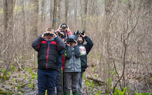 a group of people with cameras in the woods