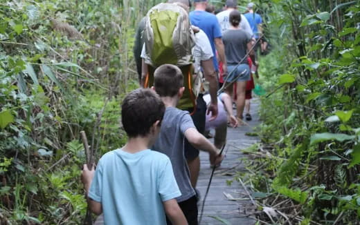 a group of people walking on a path in the woods