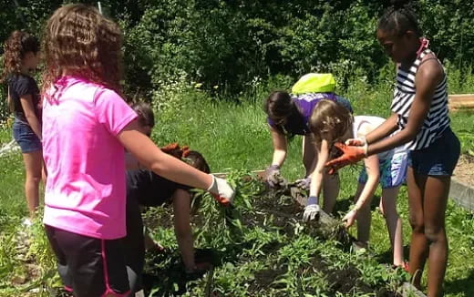 a group of children digging in the grass