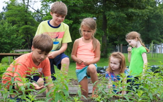 a group of children in a garden